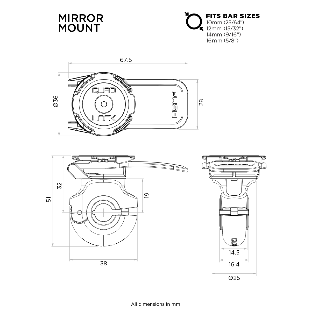 Quad Lock mirror mount